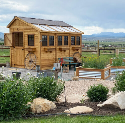 Sunshed Garden Shed 812 cedar shed olt 10
