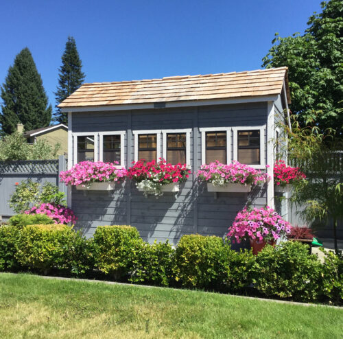 Sunshed Garden Shed 812 cedar shed olt 13
