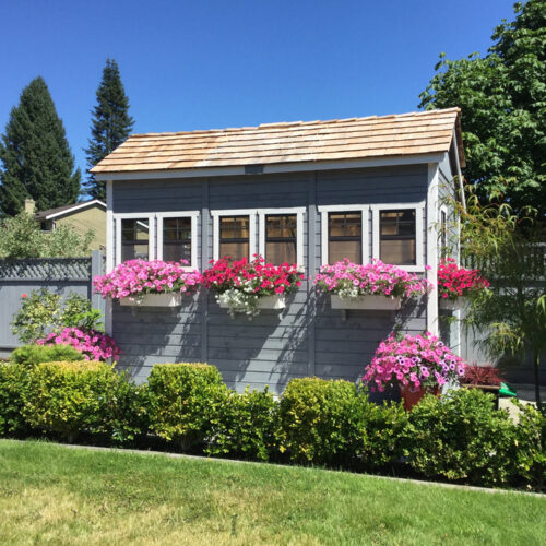 Sunshed Garden Shed 812 cedar shed olt 13