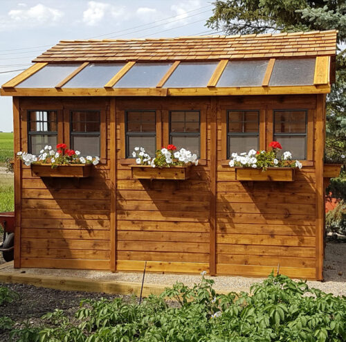 Sunshed Garden Shed 812 cedar shed olt 21