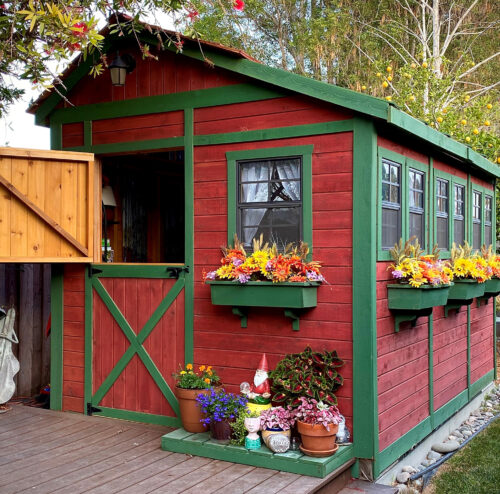 Sunshed Garden Shed 812 cedar shed olt 29