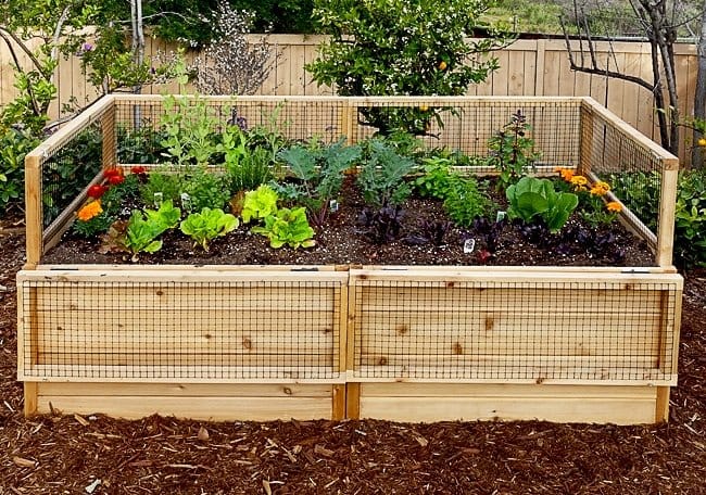 Gardening Raised Bed 6x3 7 web