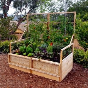 Gardening Raised Bed Trellis 6x3 9 2 650x625 1 300x300 1