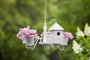 Chandelier Planters 400x266 1 300x200 1