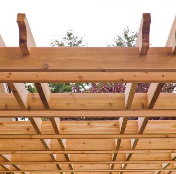 pergola roof 1