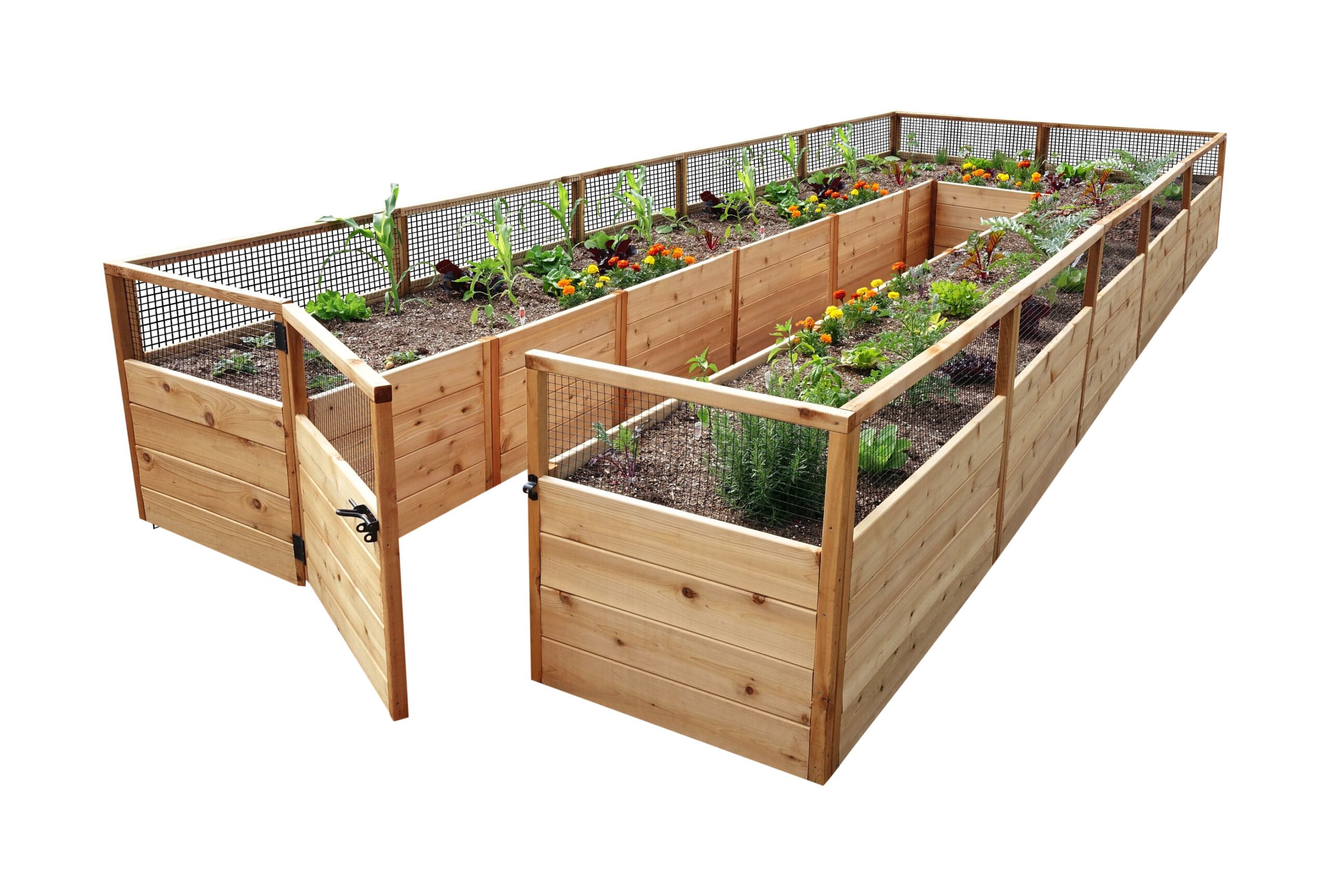 Raised Bed 816 4 scaled