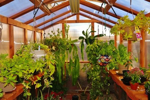 Gardening Greenhouse 8x12 8 2