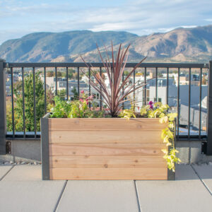 Urban Raised Garden Bed 4 x 1.5
