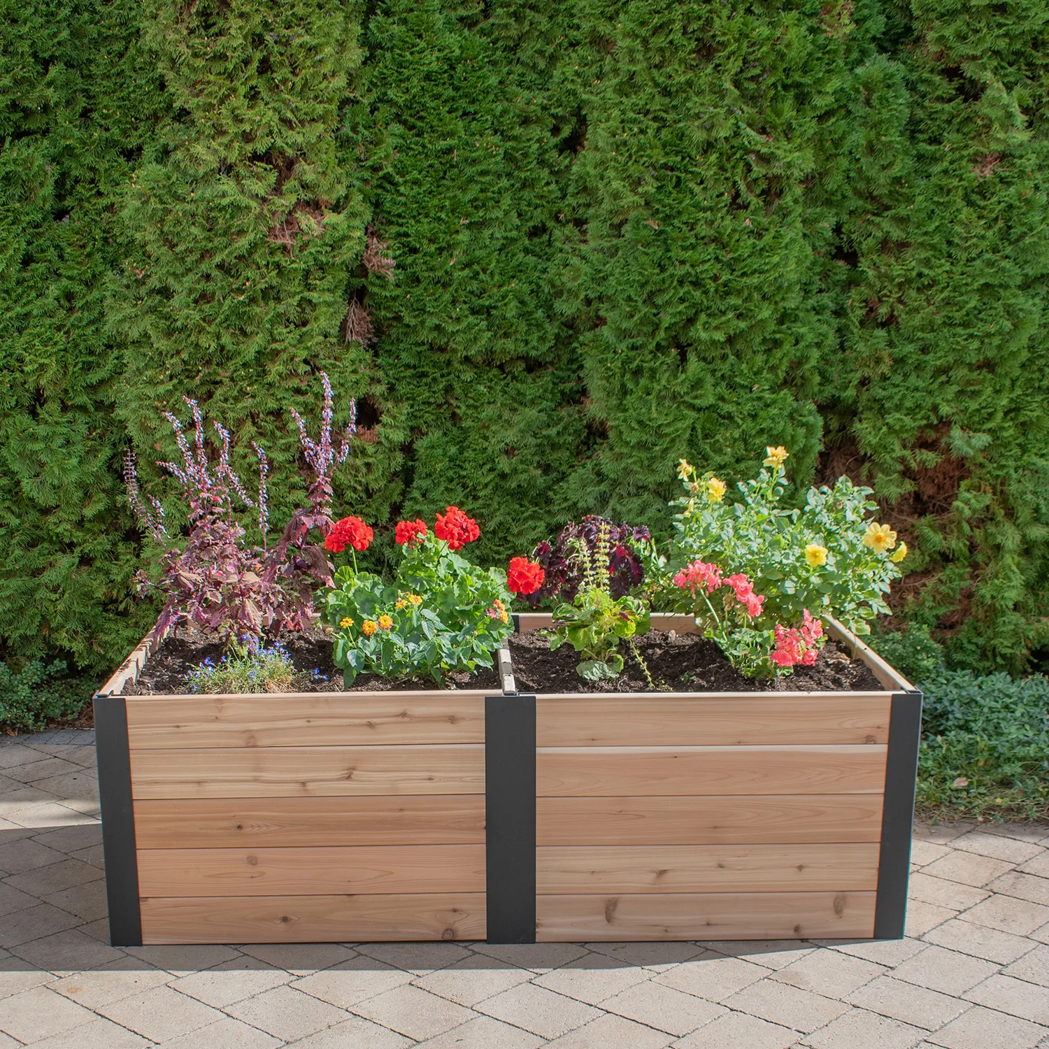 6×3 Urban Cedar Raised Garden Bed | Western Red Cedar