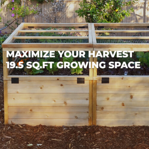 6x3 Growing Space