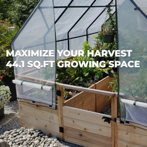 8x8 Growing Space