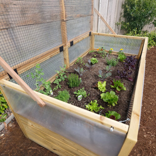 rb63 greenhouse olt 4