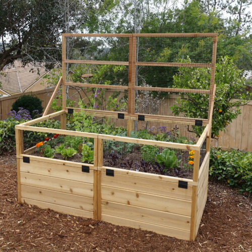 rb63 trellis olt 2