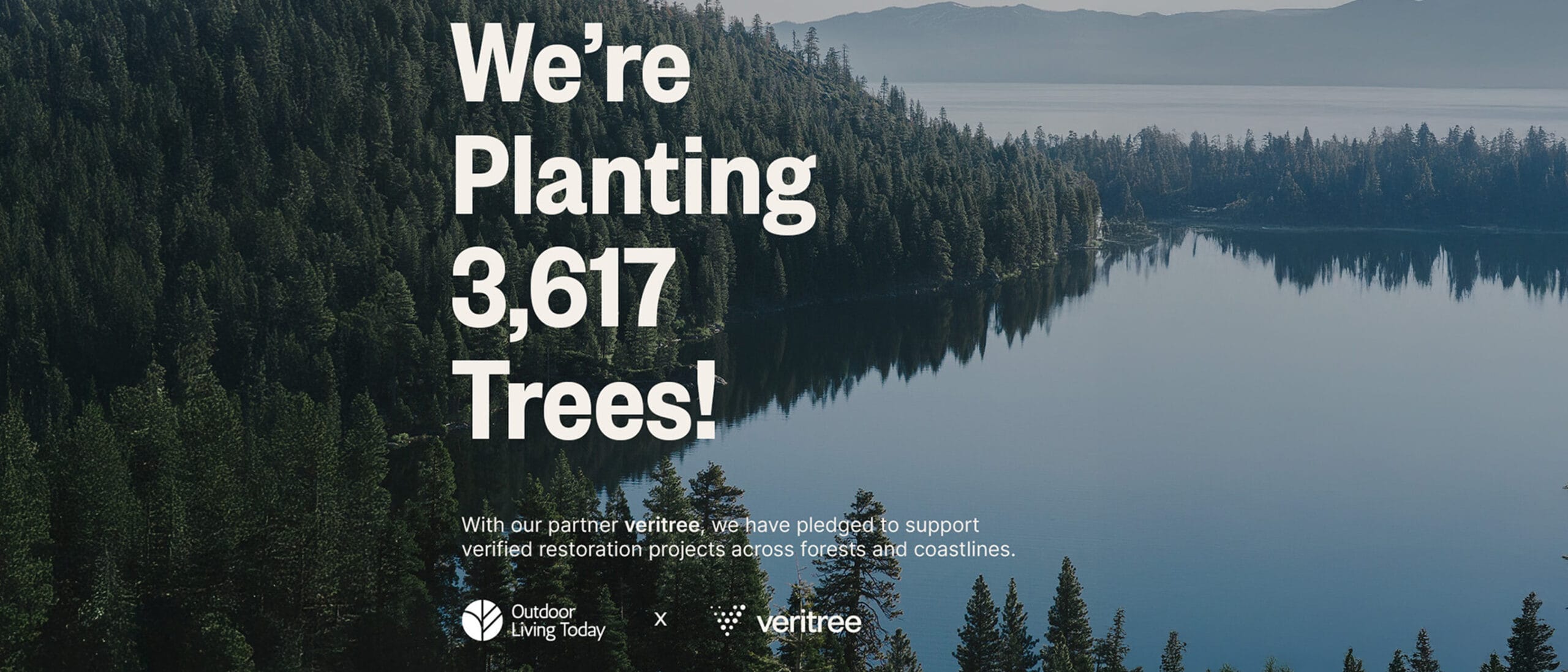 Grow With Us: Your Reforestation Impact | OLT × veritree